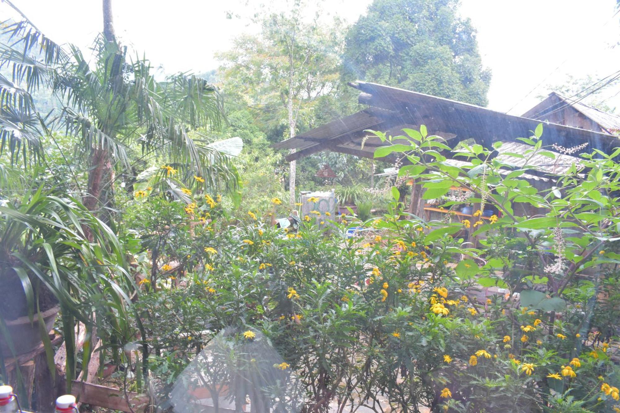 Sapa Jungle Homestay Exterior foto
